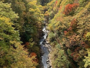 中津川渓谷1 (2)_small.jpeg